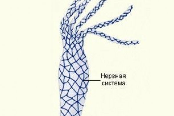 Kraken com зеркало