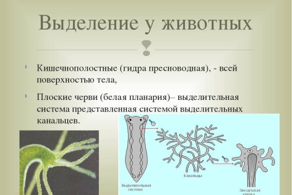 Kraken com зеркало