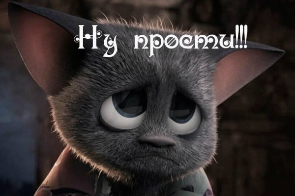 Не могу зайти на кракен