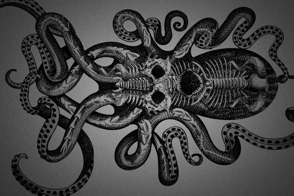 Kraken 5at