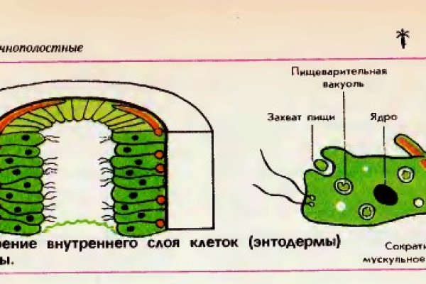 Кракен маркетплейс создатель