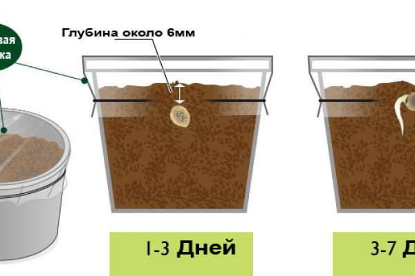 Кракен почему пользователь не найден