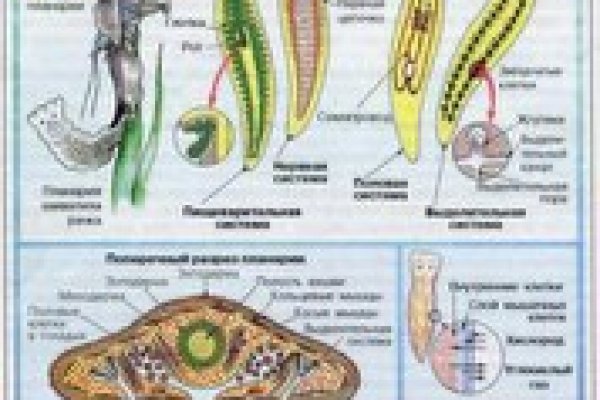 Забыл пароль кракен